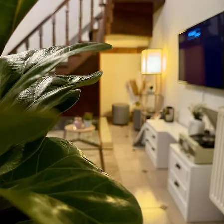 Апартаменты Captain Christos Family Garden House